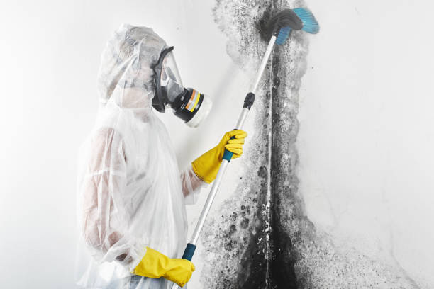 Best Indoor Air Quality Assessment  in Tton, IL