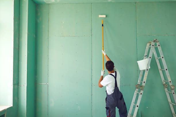 Best Black Mold Removal  in Tton, IL