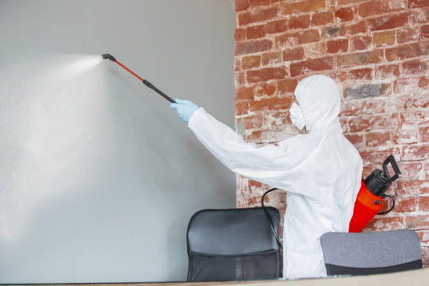 Best Water Damage & Mold Remediation  in Tton, IL