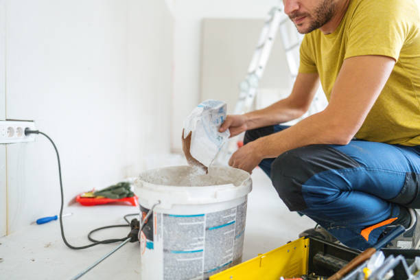 Best Airborne Mold Testing  in Tton, IL