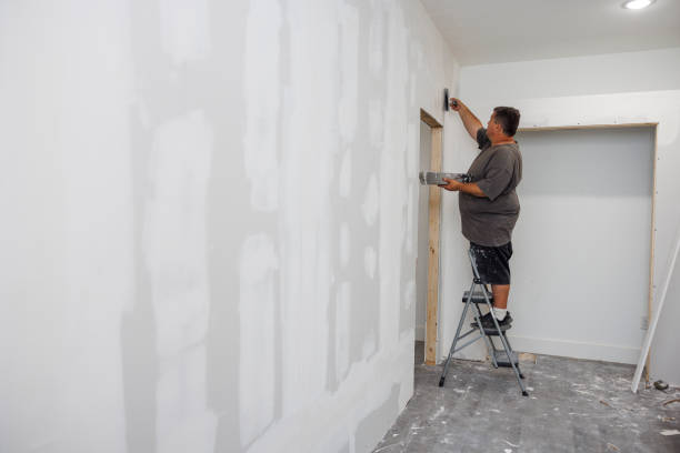 Best Mold Removal for HVAC Installations  in Tton, IL
