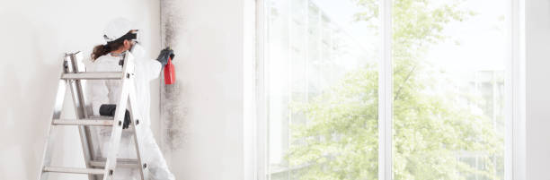 Best Commercial Mold Inspection  in Tton, IL
