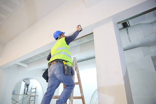 Best Environmental Consulting for Mold Prevention  in Tton, IL
